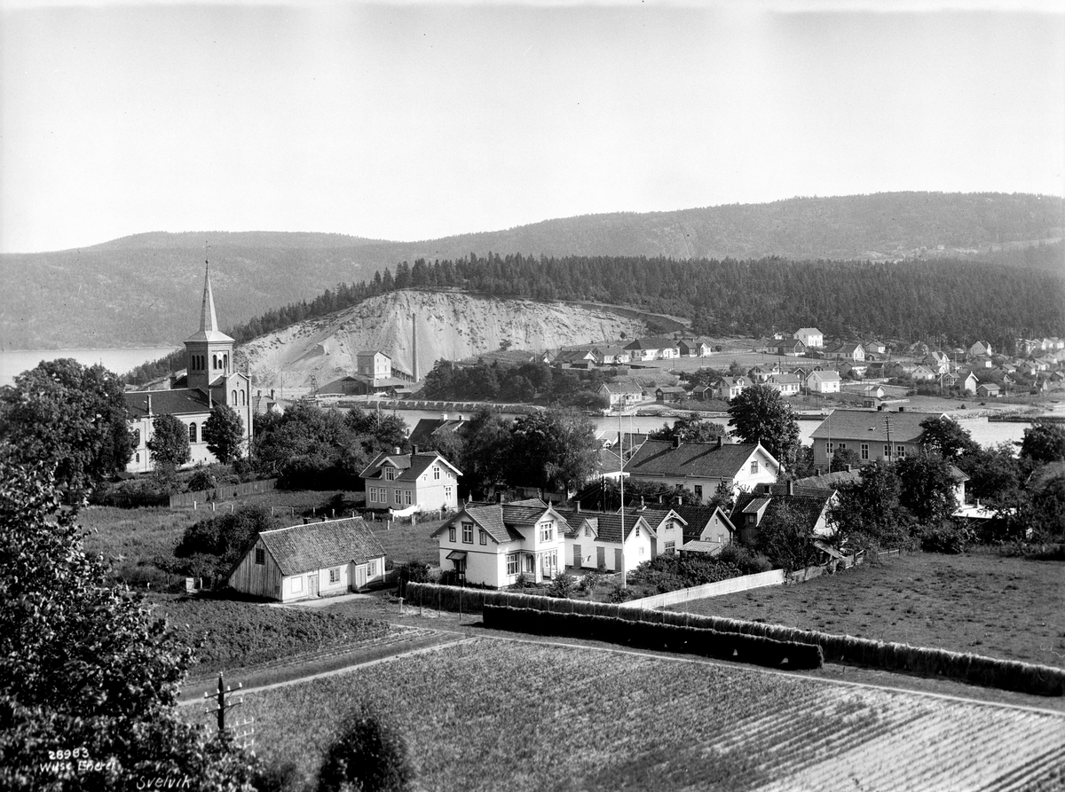 Anders Beer Wilse, Prot: Svelvik, panorama