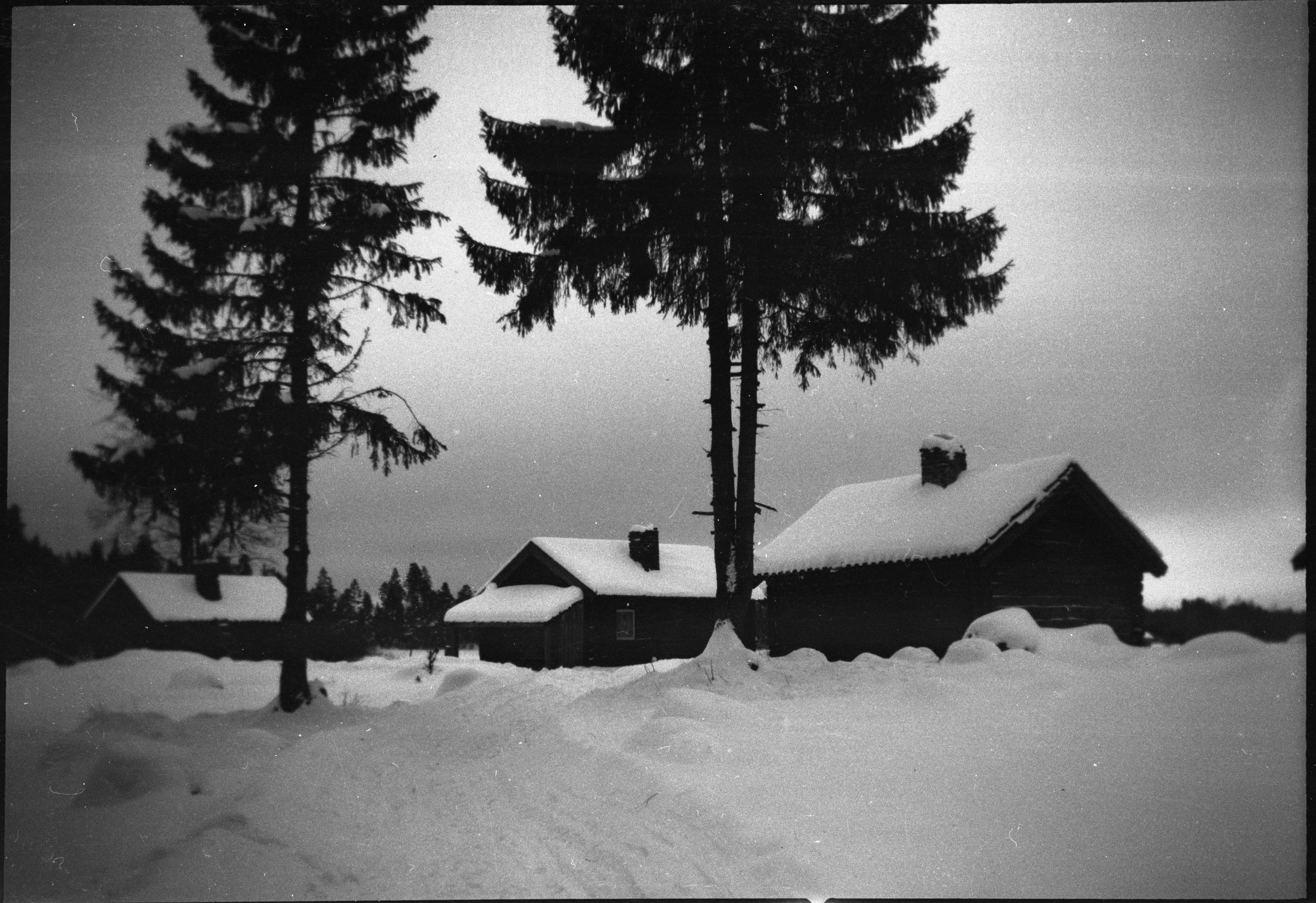 Berit Wallenberg, Mattön