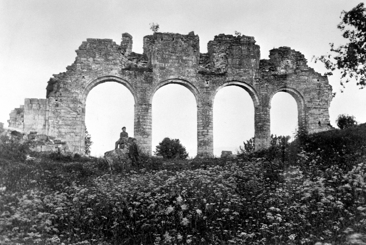 Anno Domkirkeodden, DOMKIRKERUINEN SETT FRA NORD, HEDMARKSMUSEET OG DOMKIRKEODDEN