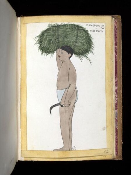 Unknown, One of sixty-three drawings from an Album depicting Sinhalese occupations and castes.