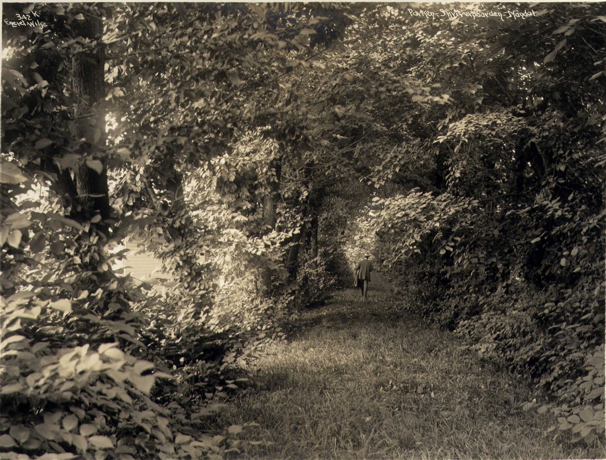 Anders Beer Wilse, Parken i Skrivergården, Mandal, Vest-Agder. Fotografert 1912.