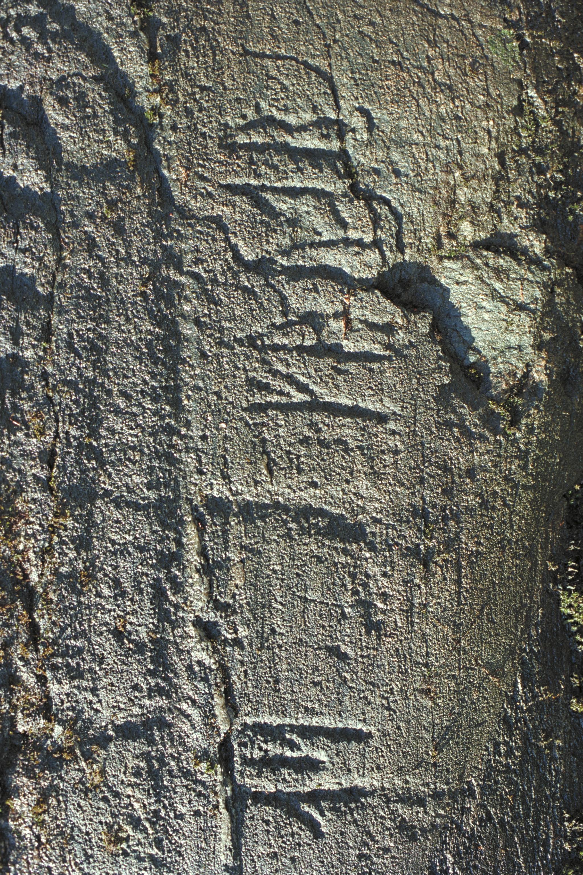 Bengt A Lundberg, Bo NIYR5;224 Utby