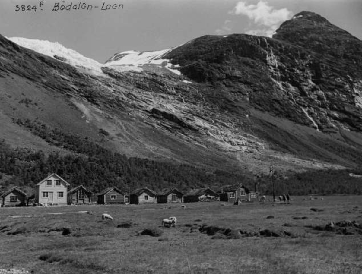 Anders Beer Wilse, -7066