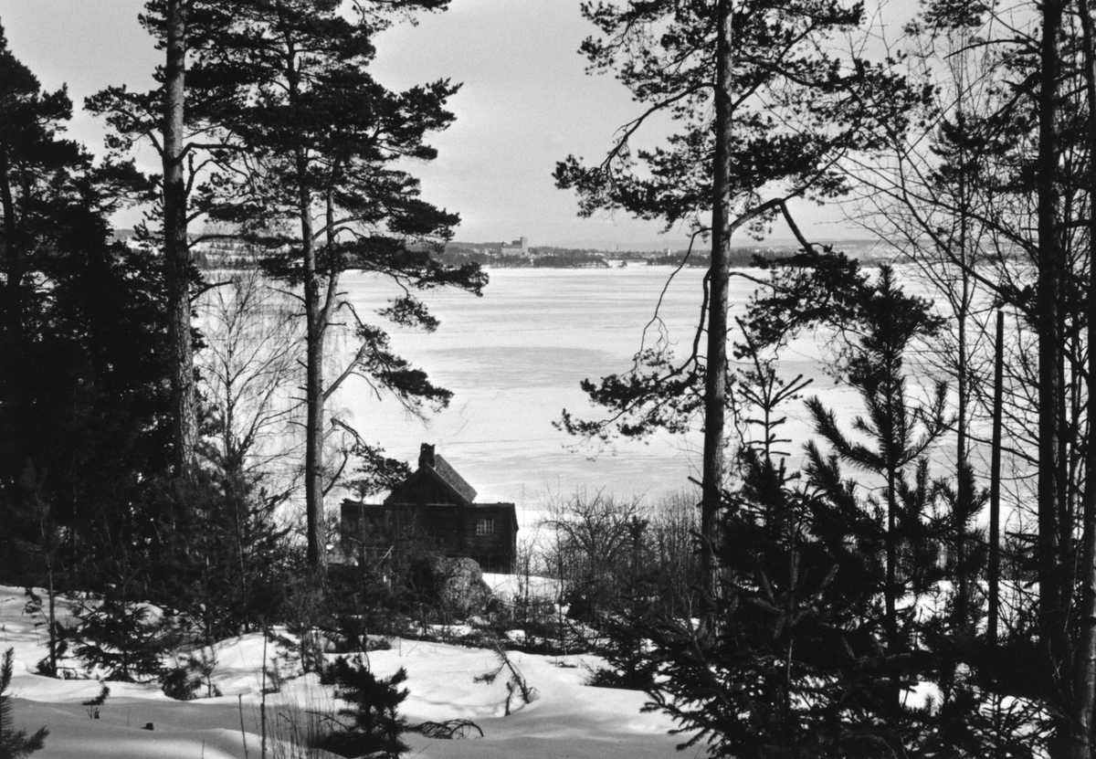 Anno Domkirkeodden, Eksteriør. Husmannsplassen Limstua, Grefsheim, Nes, Hedmark. Vinter. Is på Mjøsa.