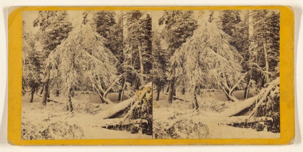 Edward and Henry T. Anthony & Co., Tracery of Winter on Luna Island.