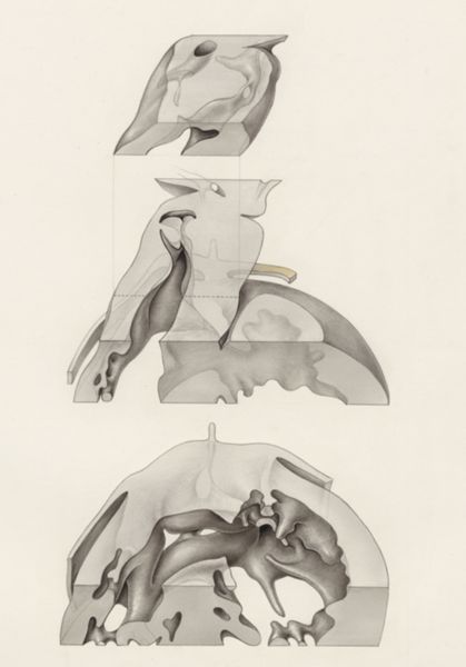 J Tinkelenberg, Embryonic heart