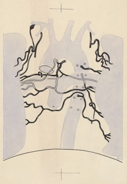 J Tinkelenberg, Part of the heart and circulatory system