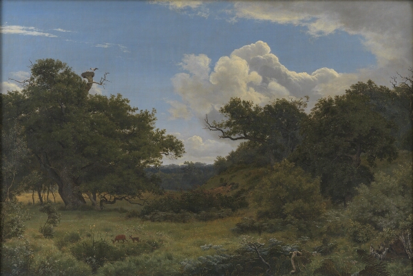 P.C. Skovgaard, Egetræer i Nordskoven ved Jægerspris
