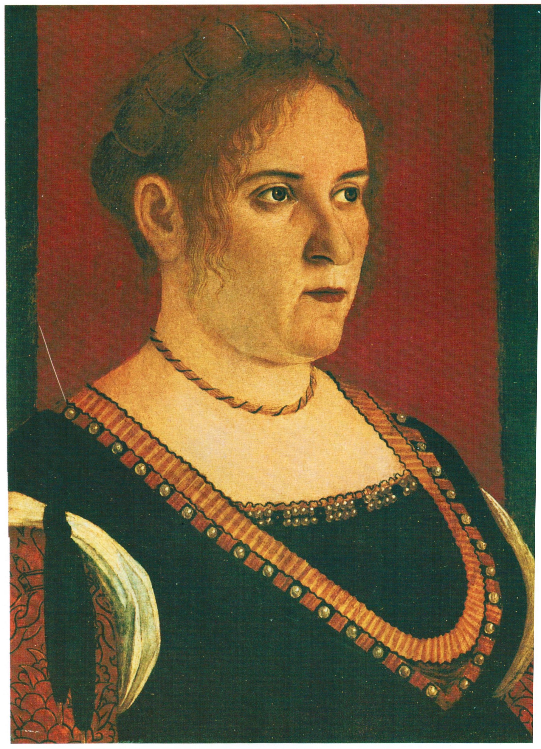 Vittore Carpaccio, Portrait of a Woman