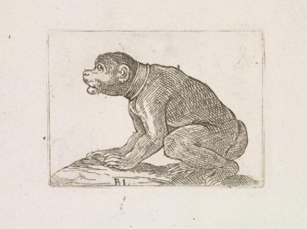 Unknown, Print