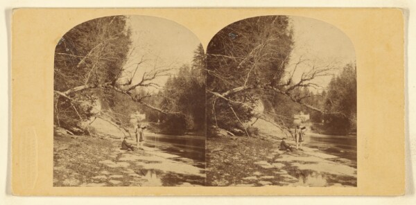 London Stereoscopic and Photographic Company, View at Trenton Falls. New York State.