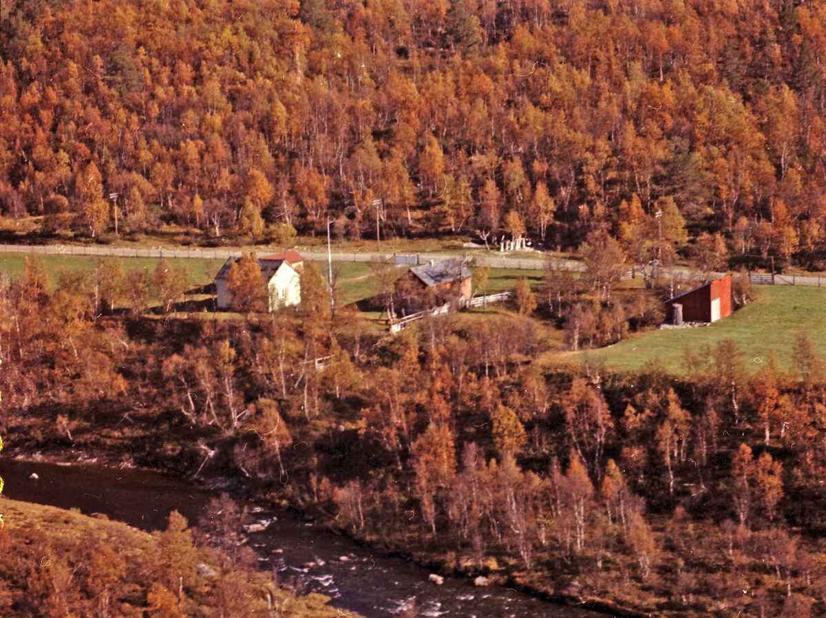 Widerøes Flyveselskap A/S, Gårdsbruk.