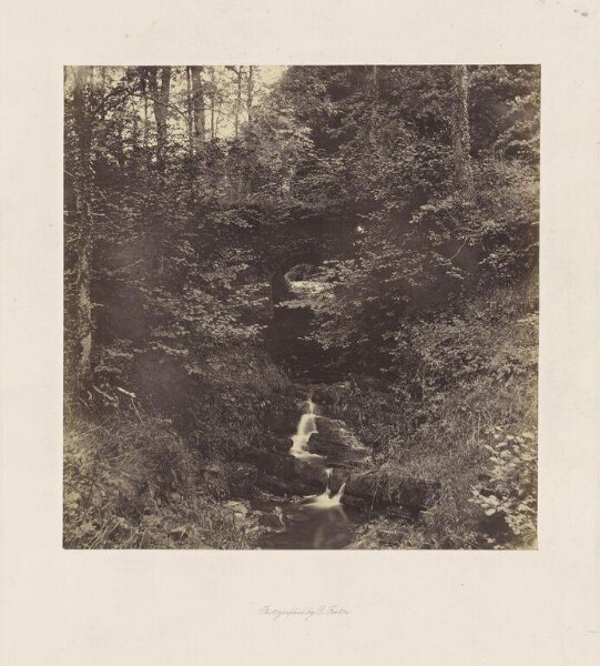 Fenton, Roger, Waterfall in Wood