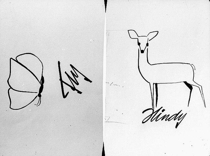 Knut Borg, Drawing, advertising for Oscaria Skofabrik. Butterfly, Fly. Pet, Nindy.