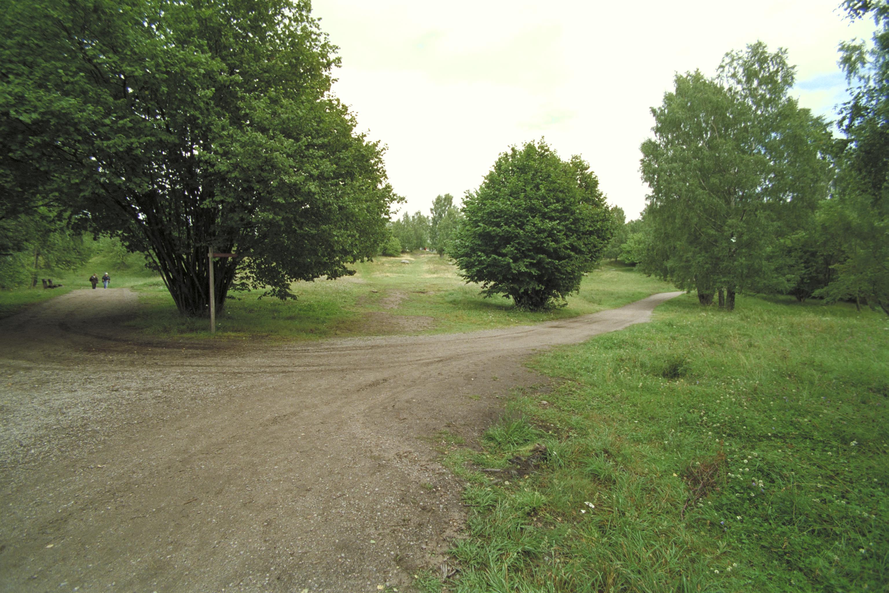Bengt A Lundberg, Björkö-Birka