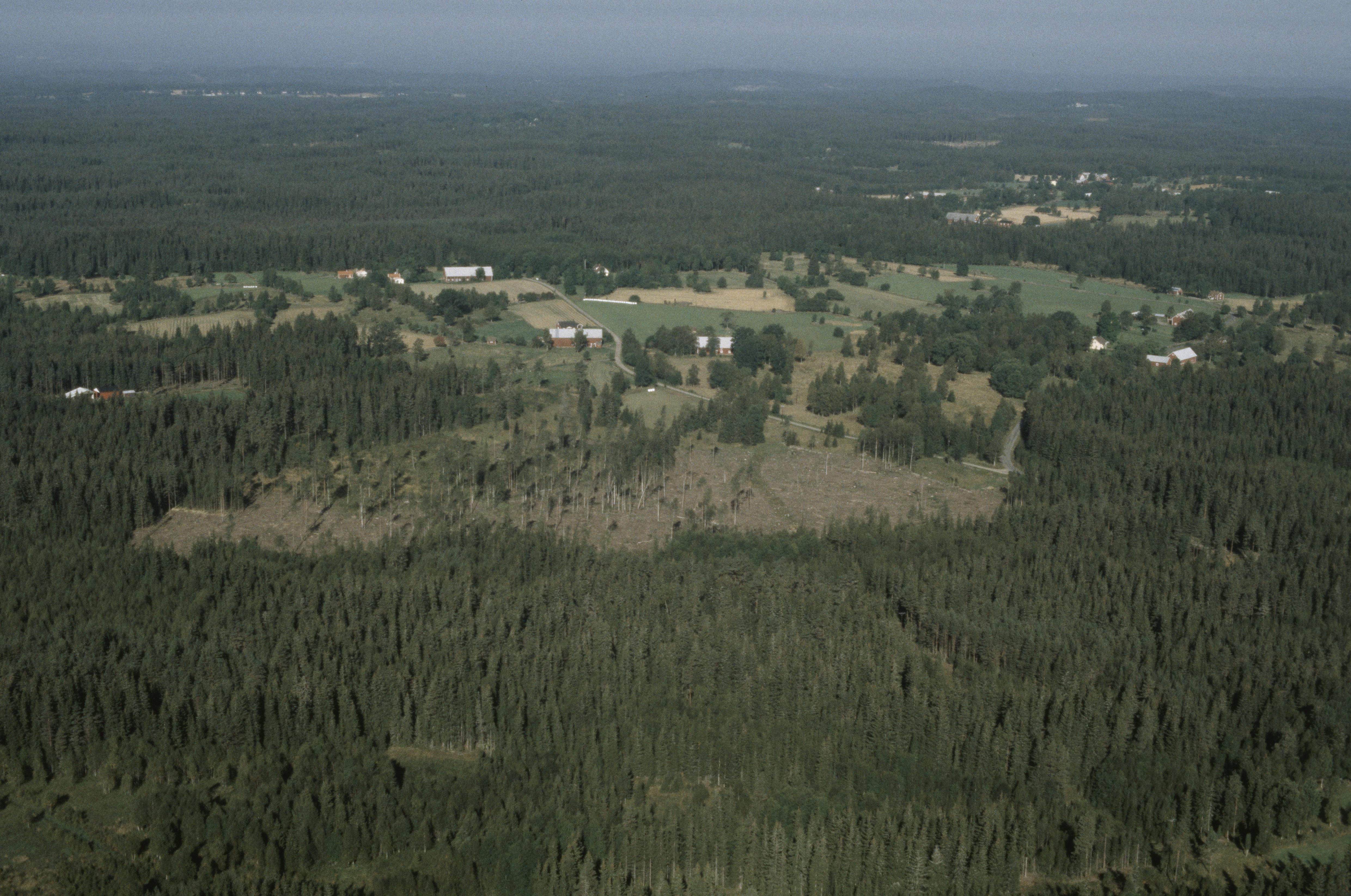 Jan Norrman, Sniparp