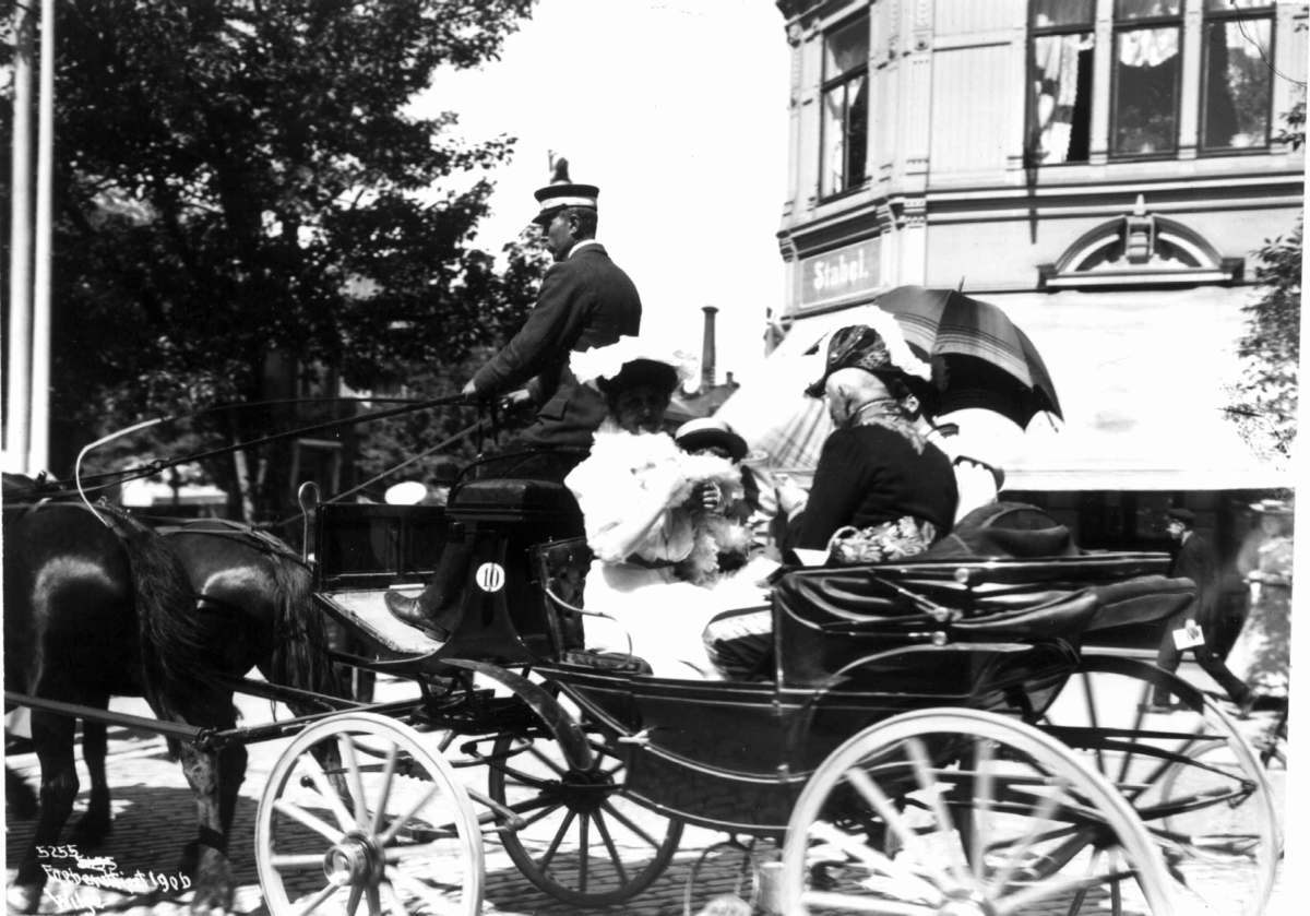 Anders Beer Wilse, Kong Haakon`s Kroningsferd