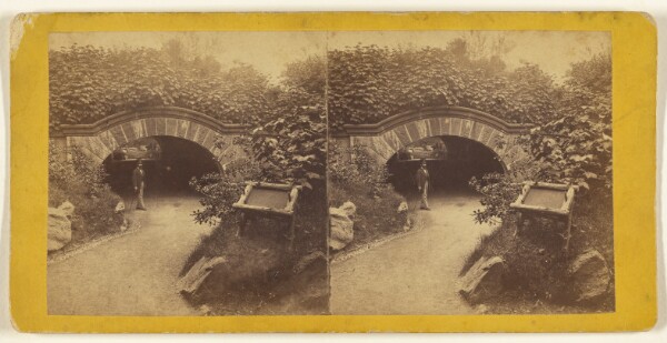 Edward and Henry T. Anthony & Co., Central Park, New York. The Stone Bridge near Mt. St. Vincent.