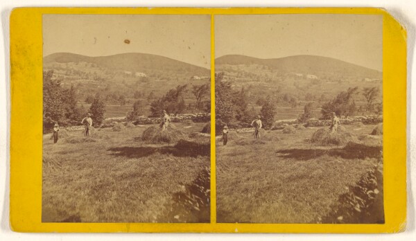 Unknown, [Men working a field]