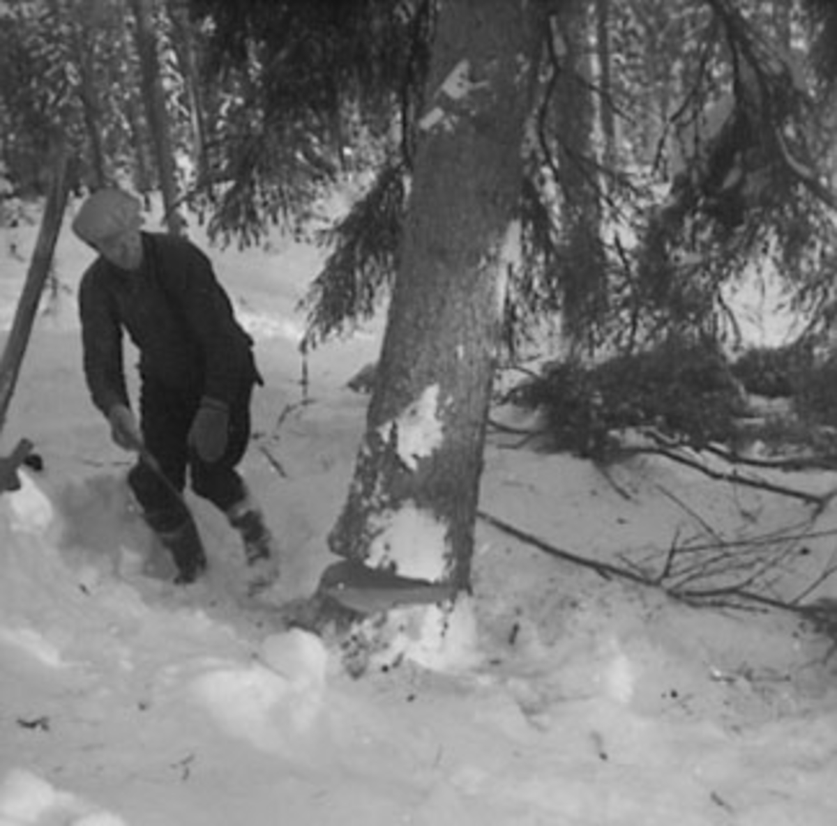 Anno Domkirkeodden, TØMMERHUGGING, SKOGBRUK, TØMMERHUGGER MED HÅNDSAG, VINTER, STANGE