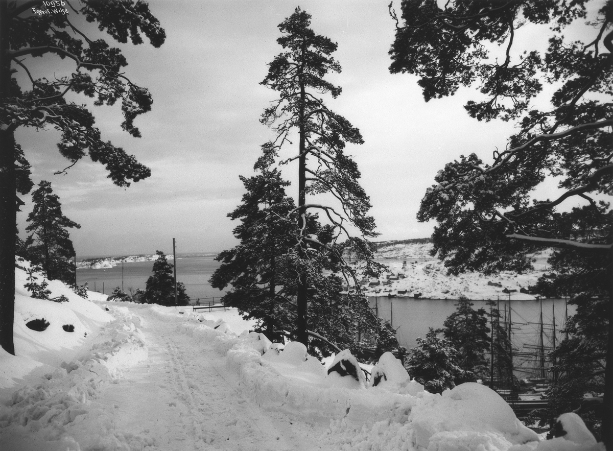 Anders Beer Wilse, Prot: Kragerø - Parti Biørneveien ved Utsigten 5/12 1909