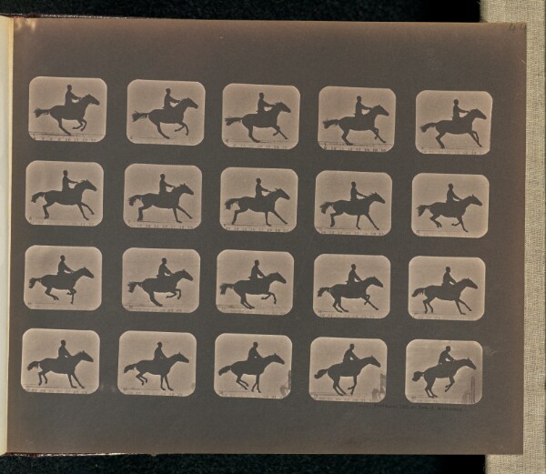 Eadweard J. Muybridge, Leaping
