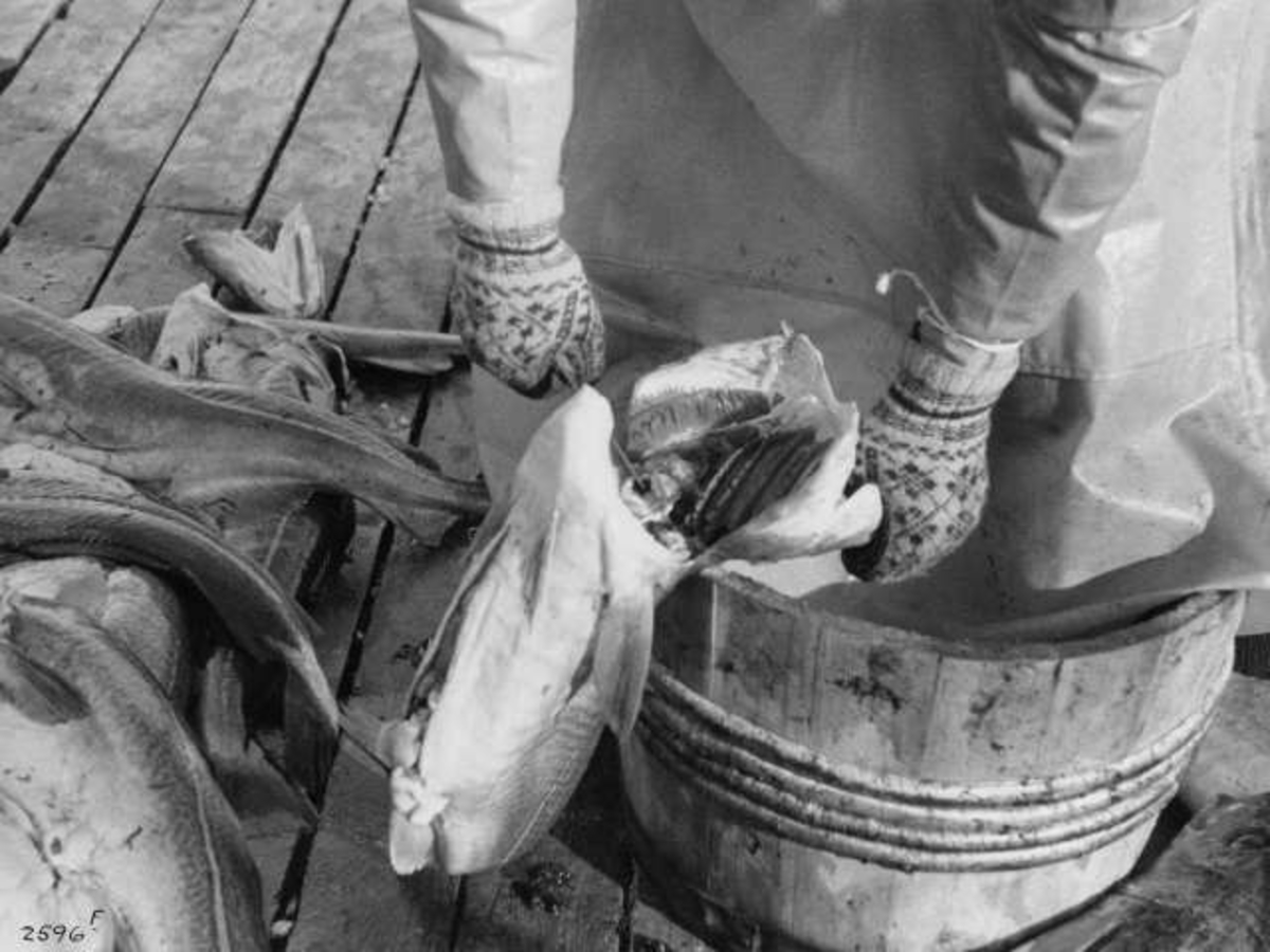 Anders Beer Wilse, -8231