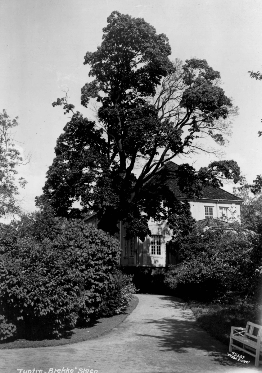 Anders Beer Wilse, Brekke
