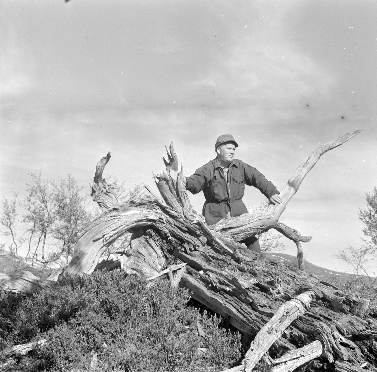 Adolf Skjegstad, ASK-03282