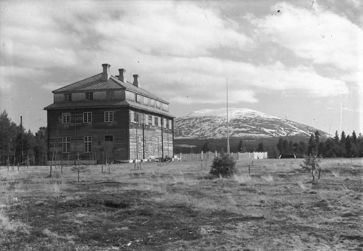 Per K. Lien, Vidsyn skole på Tynset, folkehøgskule, handelsskole m. m.