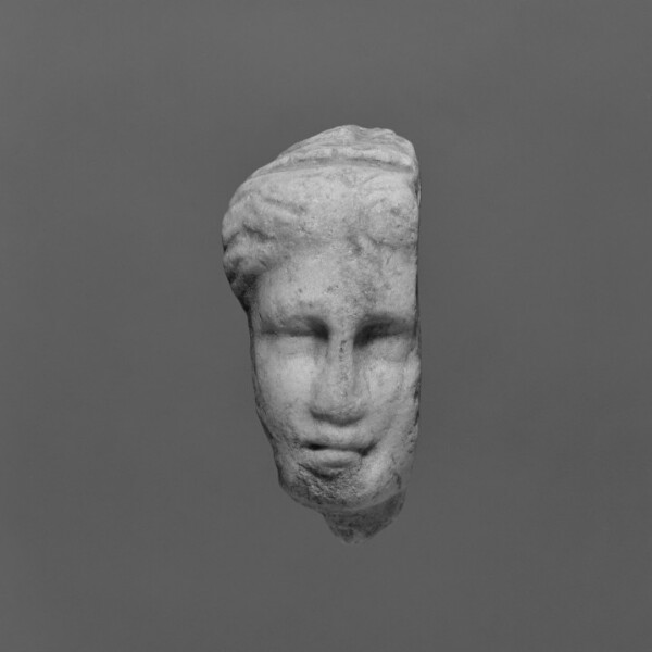 Unknown, Head of a Woman