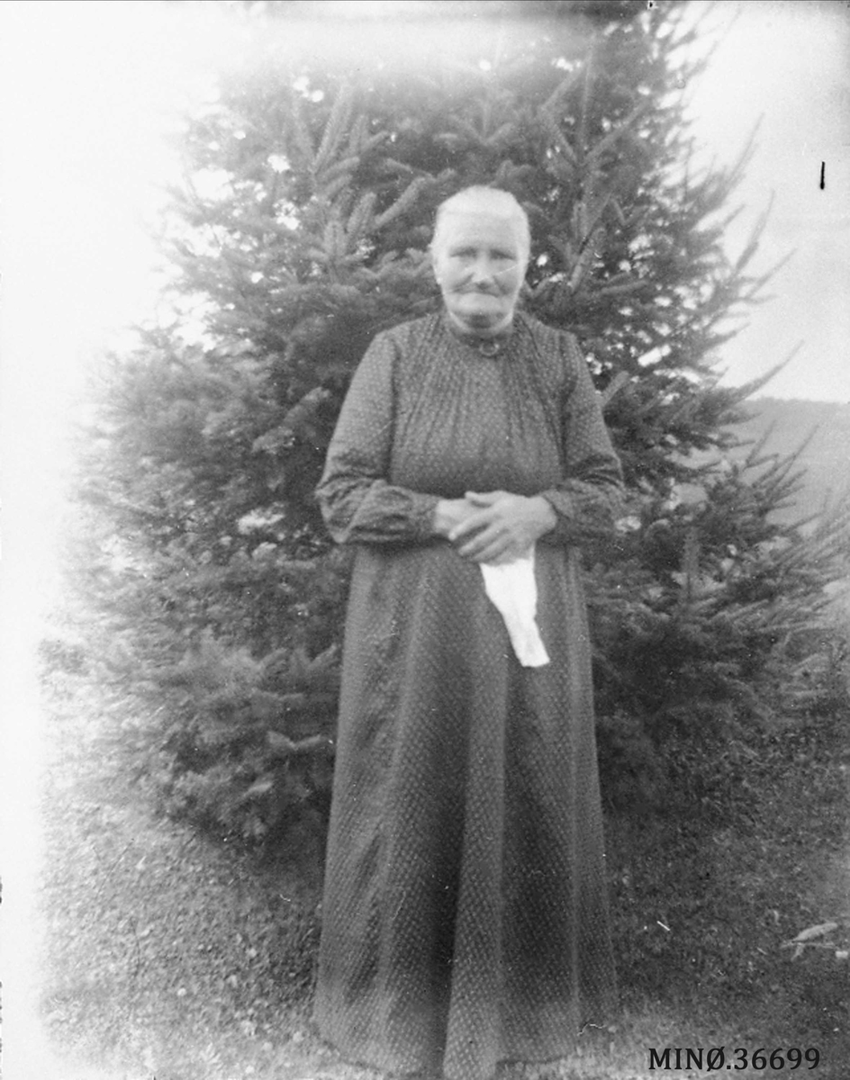 Ellert Kleven, Portrett av eldre kvinne