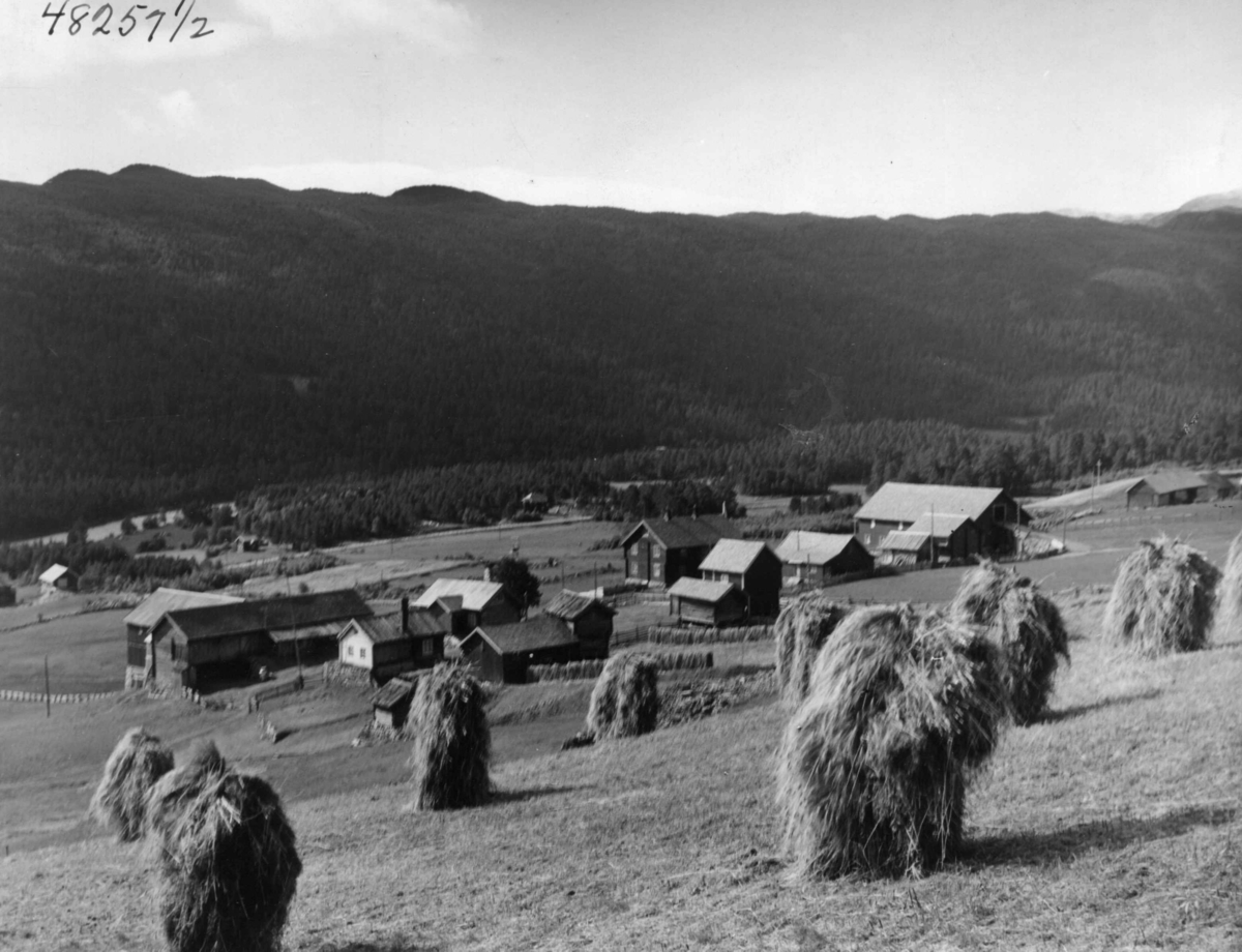 Anders Beer Wilse, Bildet er tatt fra Myljo Larsgard, vi ser tunene i søre og nordre Halsteinsgard, Hovet i Hallingdal.