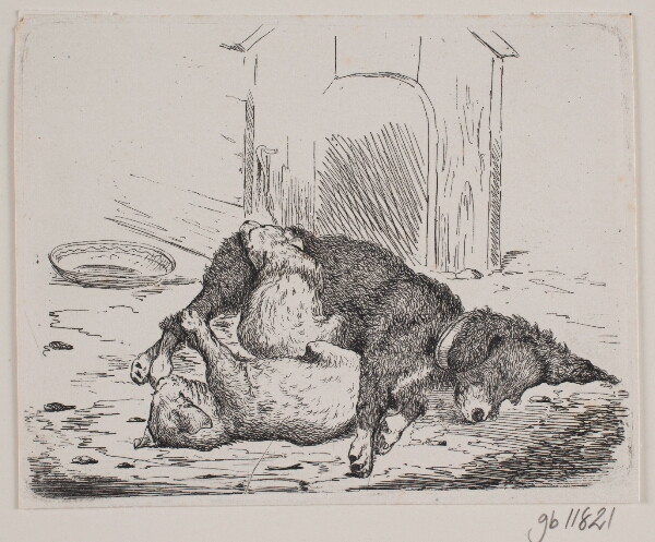 Adolph Kittendorff, Lænkehund med hvalp