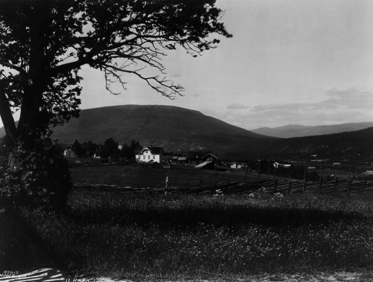 Anders Beer Wilse, Rendalen