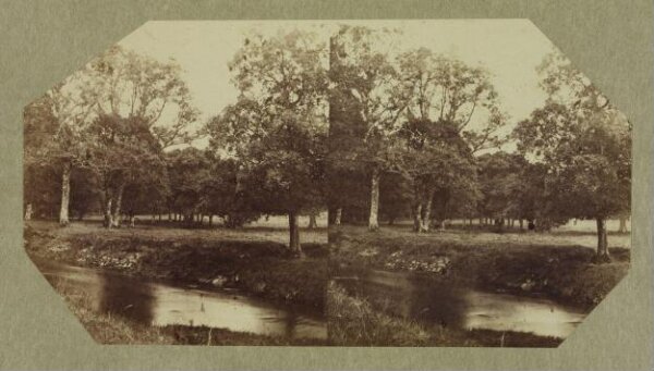 Clementina, Lady Hawarden, Photograph