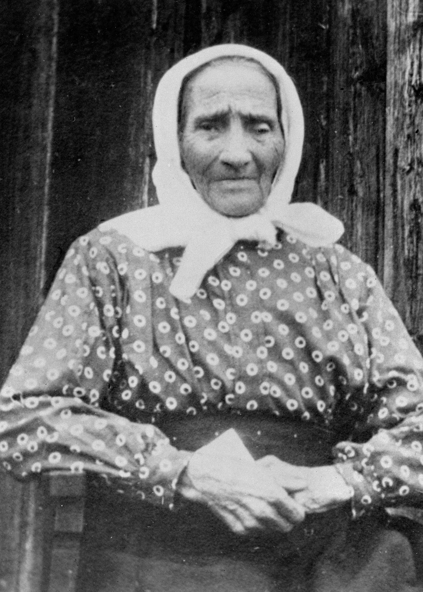 Anno Domkirkeodden, PORTR: BIRGITTE SJØLIEN F: 28. 08. 1820- D:06. 01. 1917, LØTEN PRESTEGÅRD, LØTENHadde 12 barn tok til seg ett.