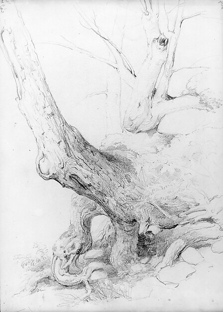 Asher Brown Durand, Sketch from Nature