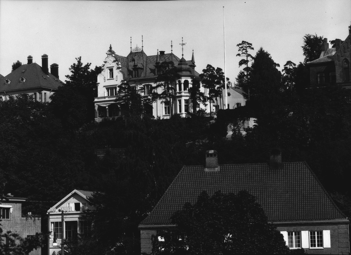 Anders Beer Wilse, Prot: Stolt Nielsen Villa