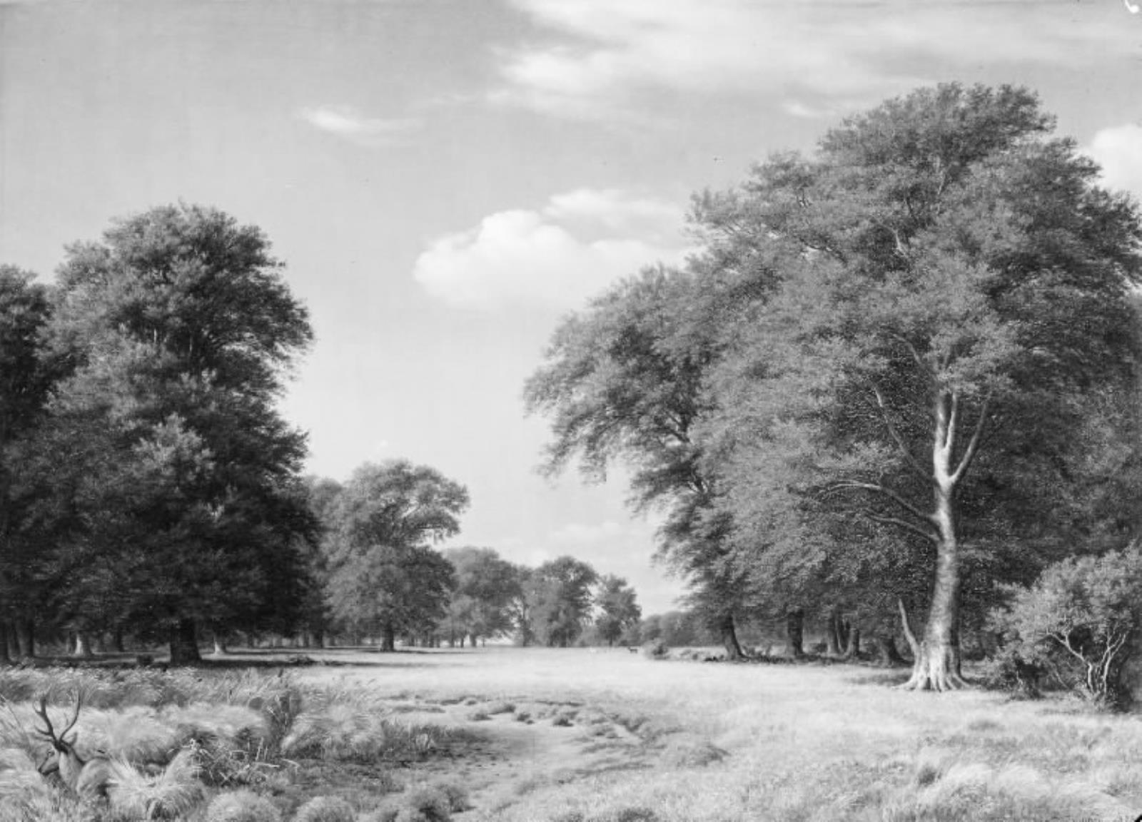 P.C. Skovgaard, En sommerdag i Dyrehaven