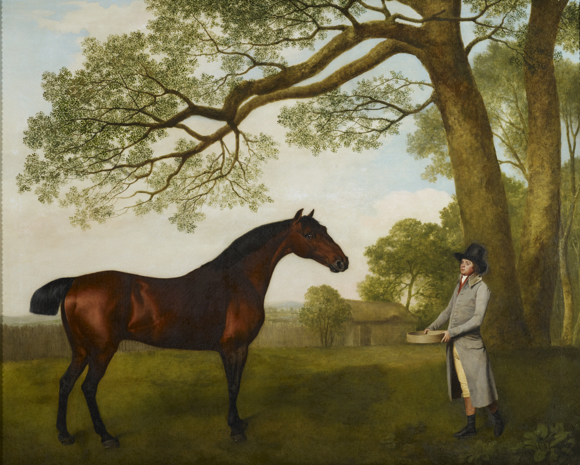 George Stubbs, John Gascoigne (d. 1812) with a Bay Horse