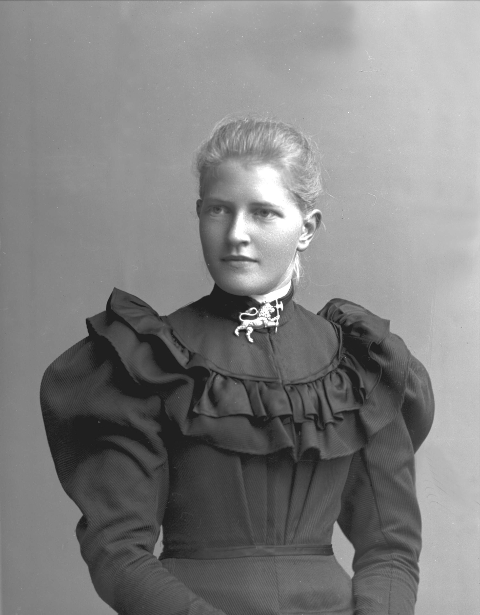 Gustav Borgen, NFB.36442