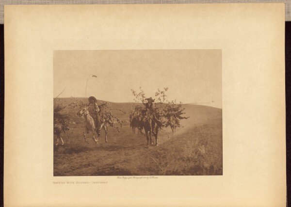 Edward S. Curtis, Return with Boughs - Cheyenne