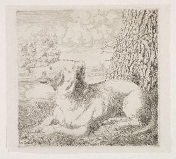 Unknown, Print