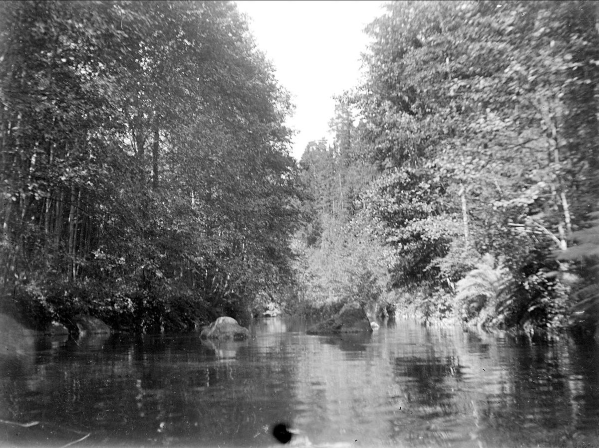 August Fredrik Schagerström, Örsundaån in Åstorpsdalen, Vilstena, Altuna parish, Uppland, July 1929