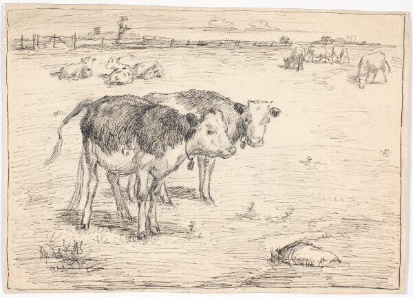 Theodor Philipsen, Et par kalve på "Fladen", Saltholm
