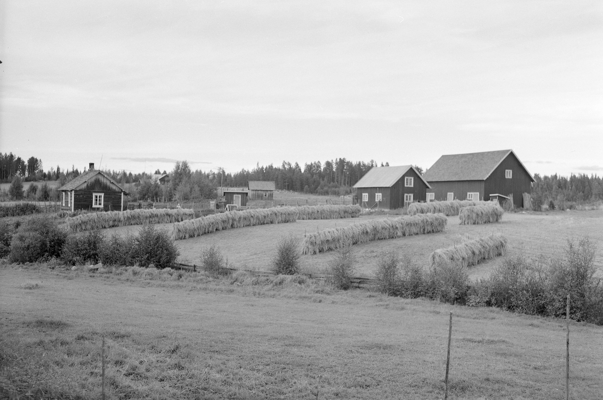 Anno Domkirkeodden, EKSTR: GARDSTUN, NYBAK, LØTEN. Se Løtenbok nr. 3 fra 1955 side 808