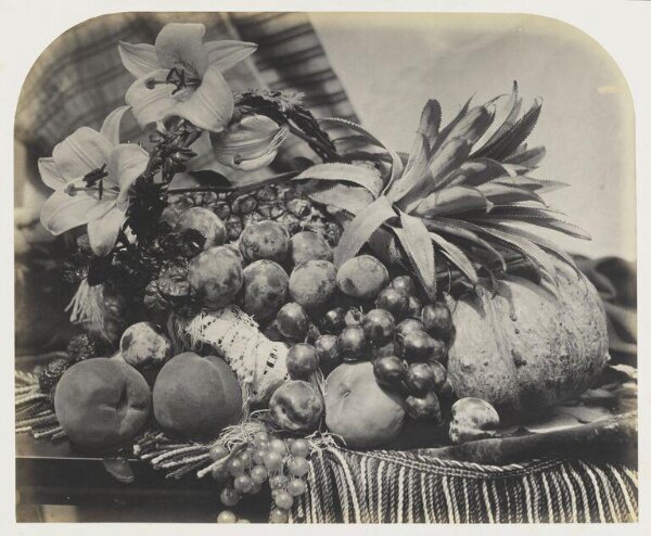 Fenton, Roger, Fruit and flowers