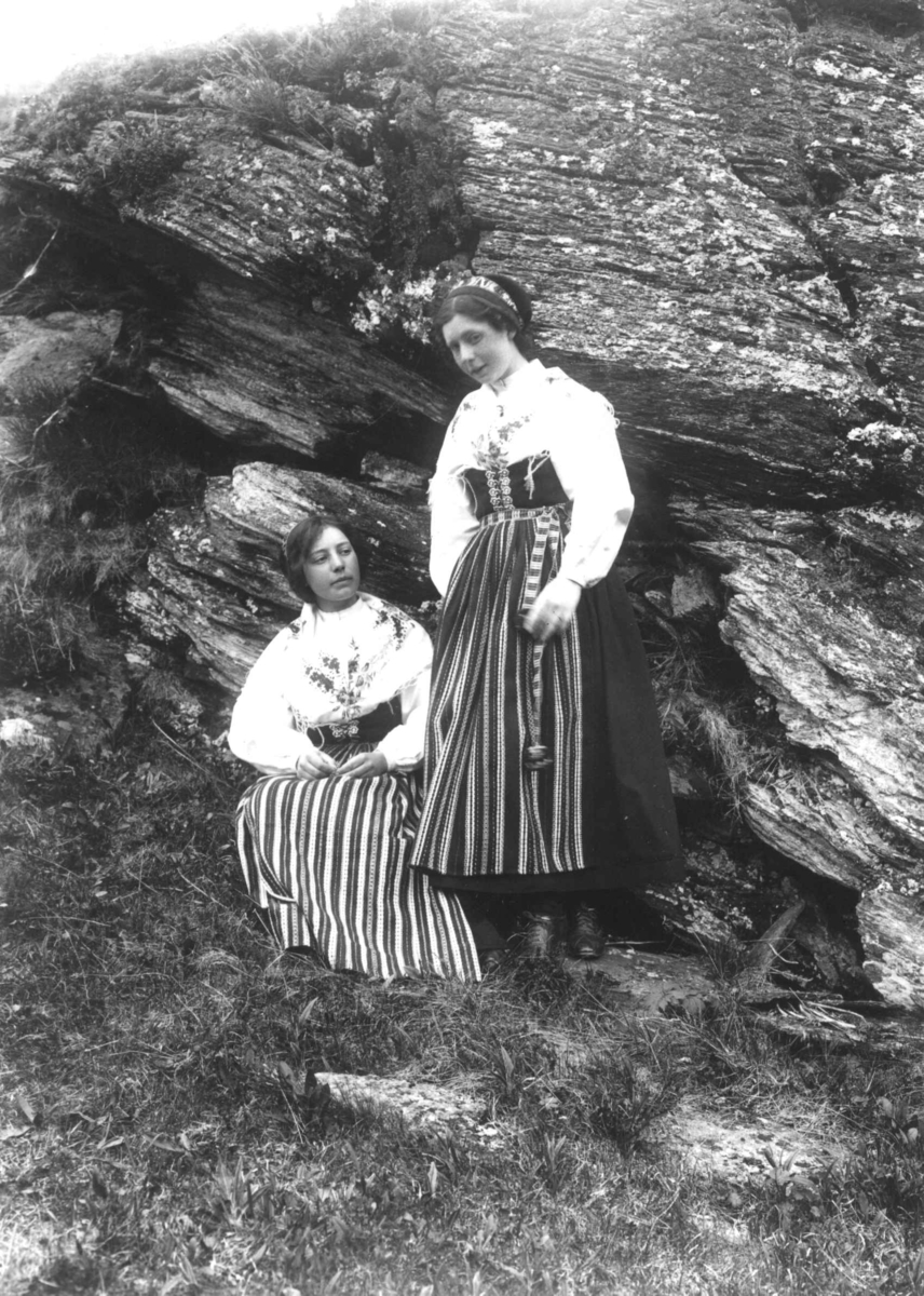 Robert Collett, To kvinner i landskap, ukjent sted. i drakter fra Rättvik, Dalarne, Sverige. Serie tatt av Robert Collett (1842-1913), amatørfotograf og professor i zoologi.