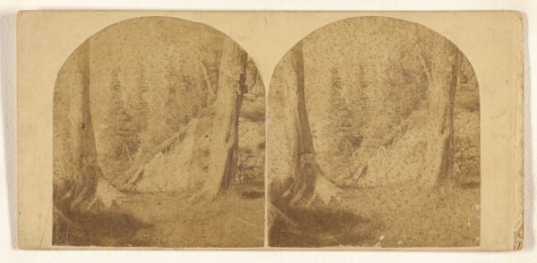 New York Stereoscopic Company, Niagara Falls, N.Y. View from Goat Island, Clifton House in the distance.